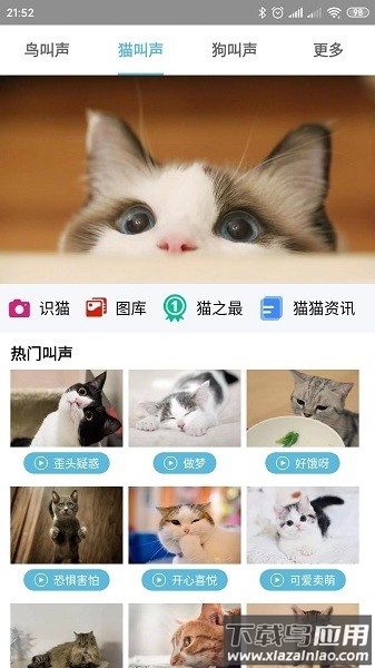 鸟叫声大全软件截图1