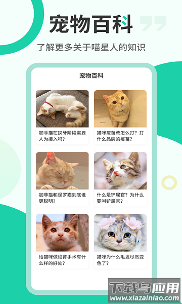 猫语翻译机软件截图1