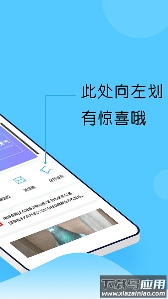 中鸽网赛事直播平台截图1