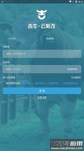吉牛云繁改app截图1