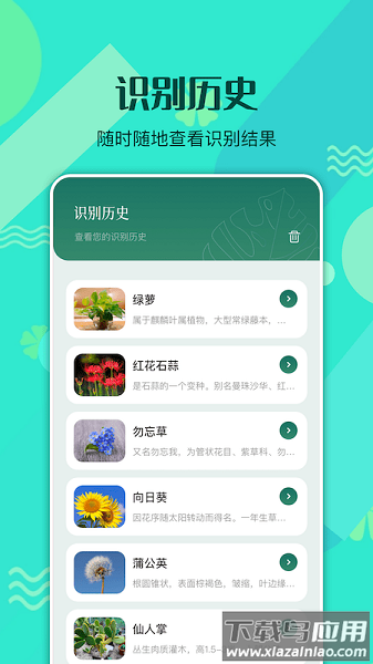 神农识别百草app下载