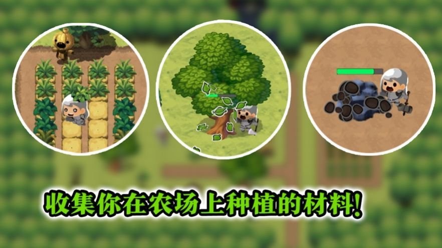 勇敢者的农场最新版截图2
