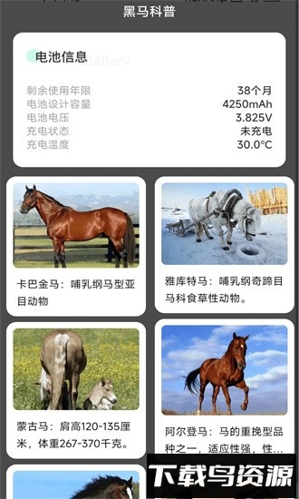 黑马充电app下载