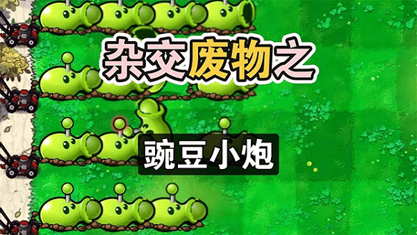 废物大战僵尸