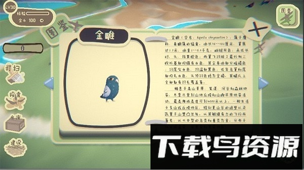 鸟之森手游截图1