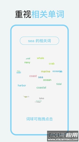 向量单词软件截图2