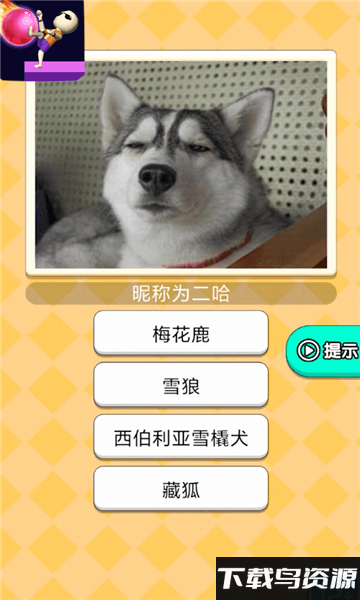 魔音球球小游戏截图4