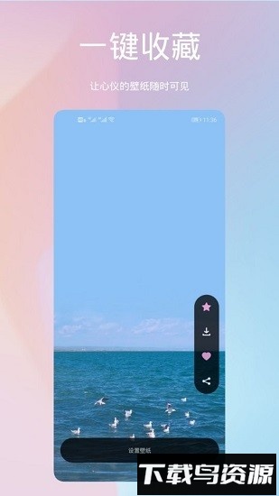 鹦鹉螺壁纸app截图1