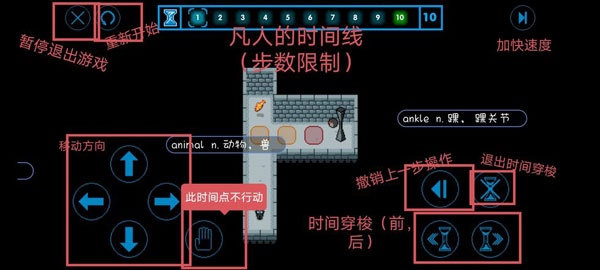 时间之神的猫