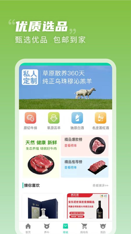 奔富牧业软件最新版截图2