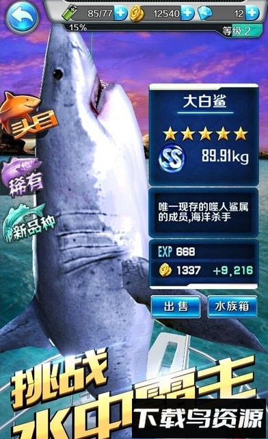 钓鱼梦想之旅截图3