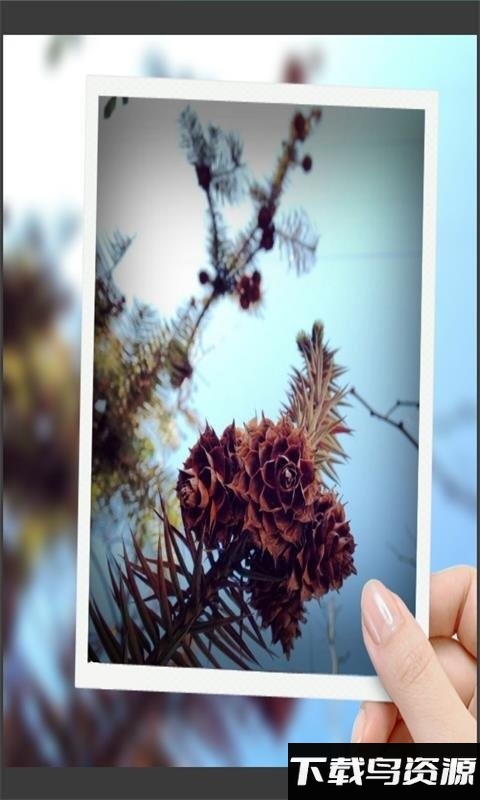 趣拍玩图照相机app截图4