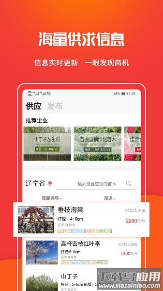 苗木云平台(苗木网)截图3