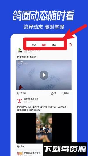 青鸽网手机版