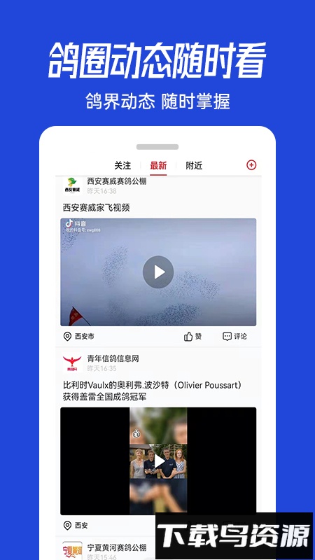 青鸽网手机版截图3