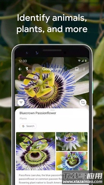 谷歌智能镜头app截图1