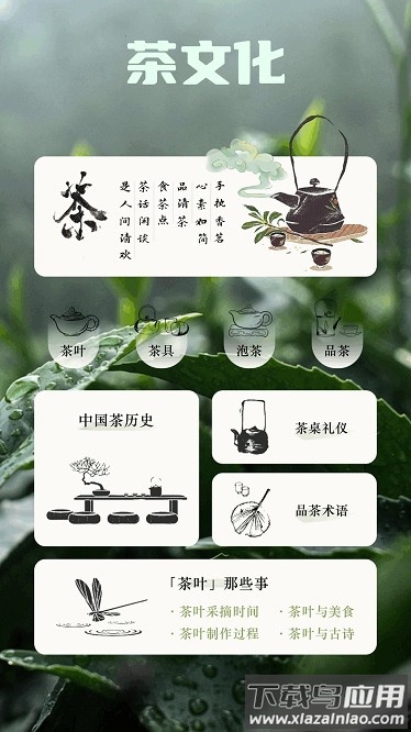 悠悠茶园下载2025