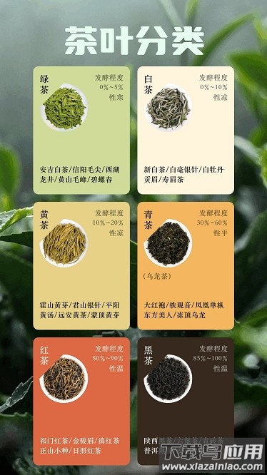 悠悠茶园app截图1