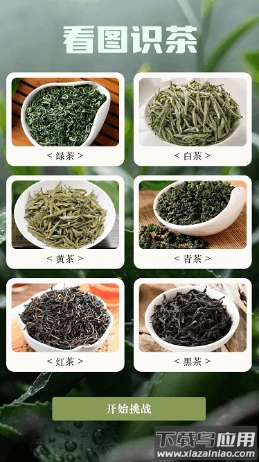 悠悠茶园app截图4