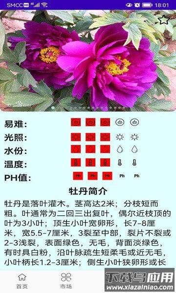 绿植花卉官方版截图5
