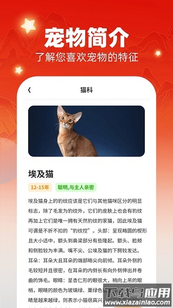 畅快汇看app下载