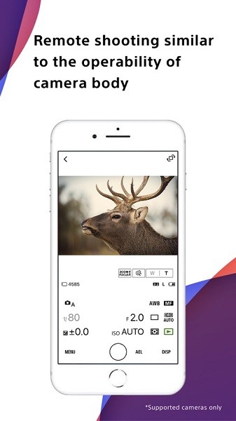 creators app最新版v2.8.0截图2