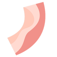 培根配万物游戏下载(Bacon)