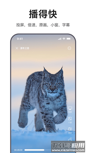 迅雷浏览器纯净版截图2