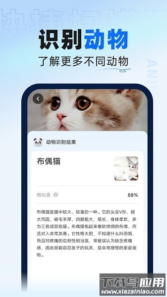 迅捷扫描大师软件截图2