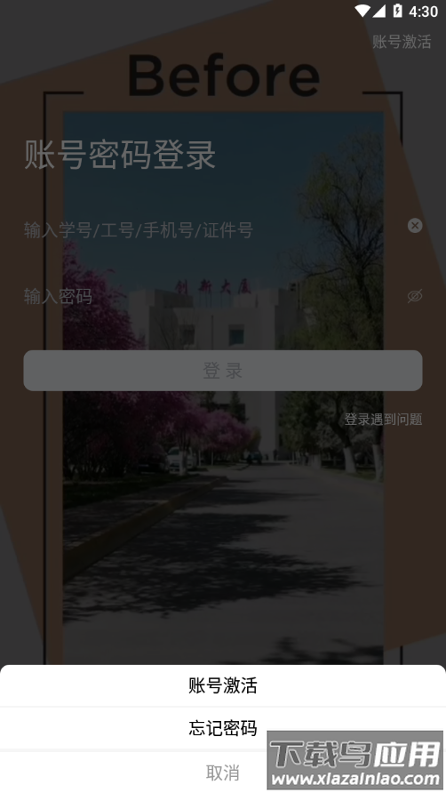 掌上青大app下载截图2