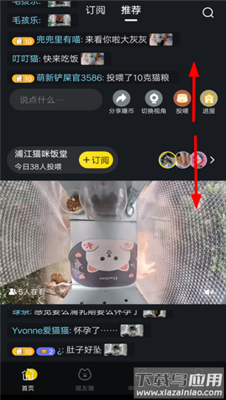 街猫app