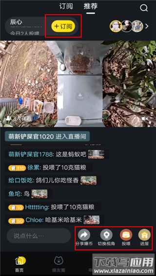 街猫app