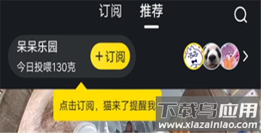 街猫app