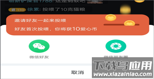 街猫app