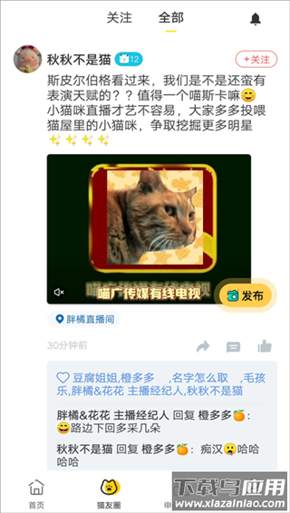 街猫app
