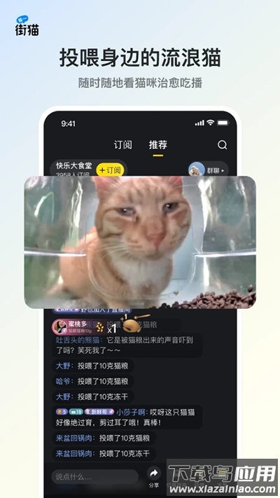 街猫app截图