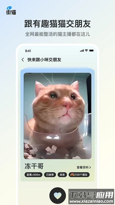 街猫app截图