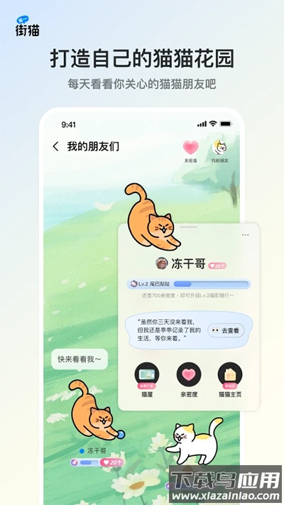 街猫app截图