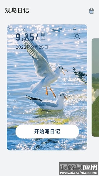 青鸟看看app下载