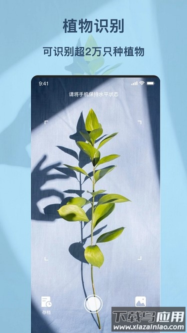 行色识物软件下载