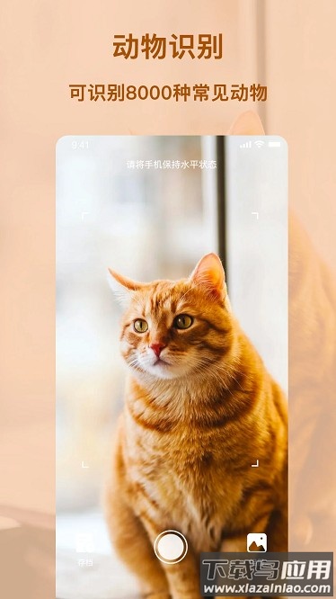 行色识物app截图3