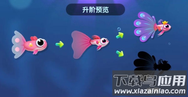 萌鱼泡泡最新版