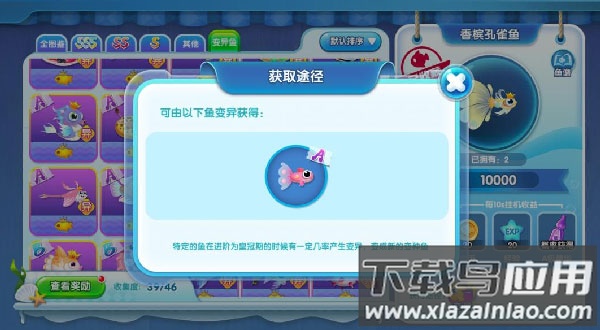 萌鱼泡泡最新版