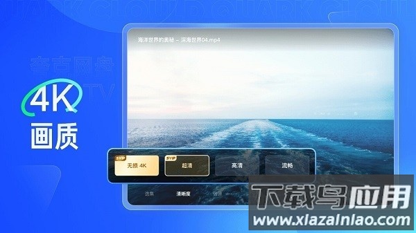 夸克网盘电视版