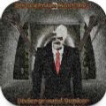 无脸男必须死第五章下载(Slenderman Must Die: Chapter 5)
