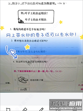 蜜蜂试卷官方正版