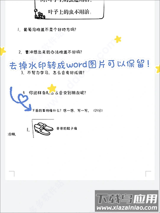 蜜蜂试卷官方正版