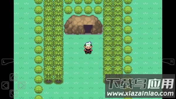 口袋妖怪罪恶的世界中文版