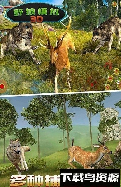 野狼模拟3D手游截图1