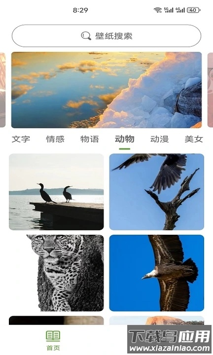白叶壁纸APP截图4